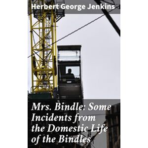 Mrs. Bindle: Some Incidents...