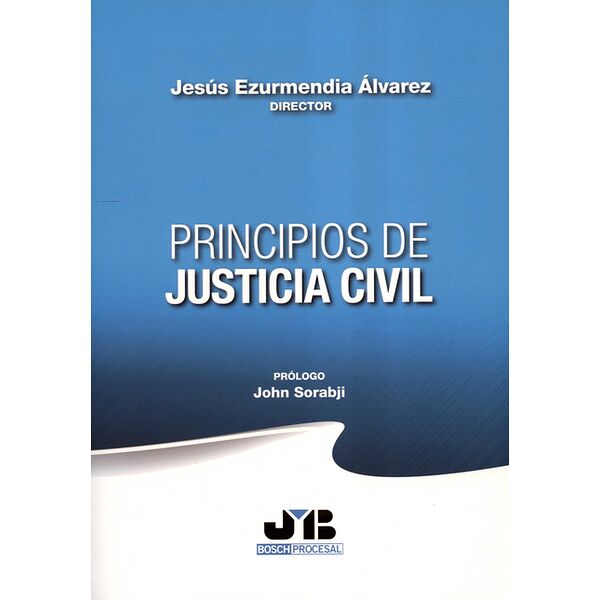 Principios de justicia civil