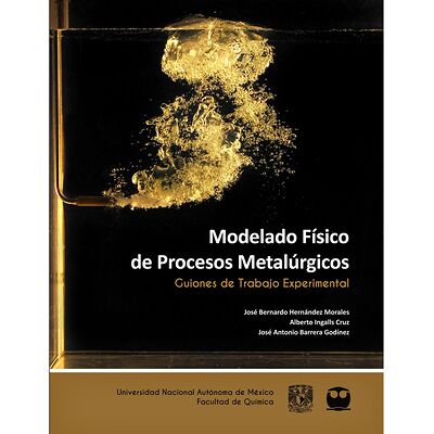Modelado Físico de Procesos...