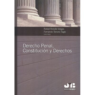 Derecho Penal, Constitución...
