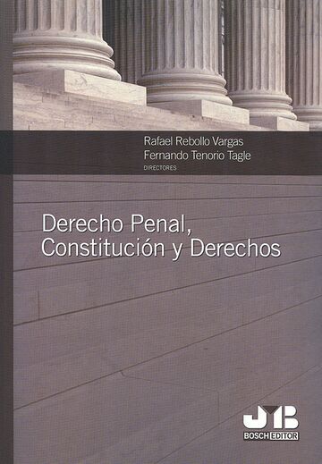 Derecho Penal, Constitución...