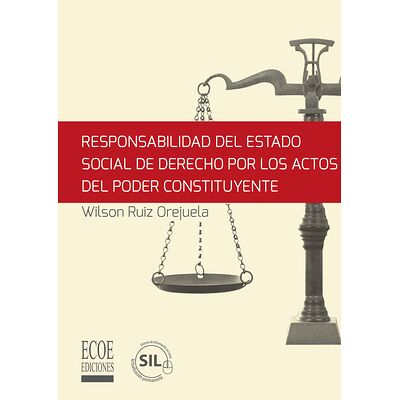 Responsabilidad del estado...