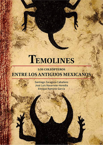 Temolines. Los coleópteros...