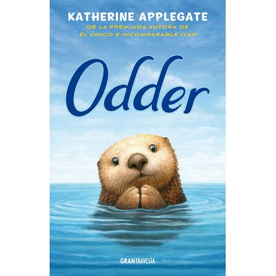 Odder
