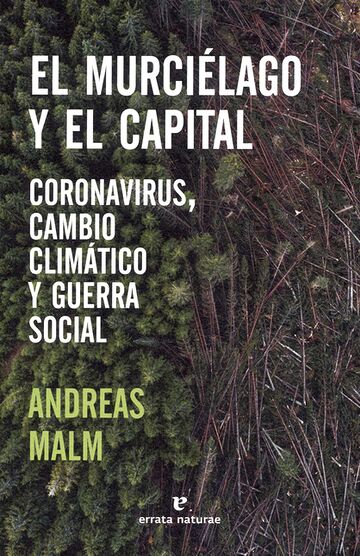 El murciélago y el capital....