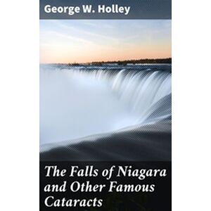 The Falls of Niagara and...