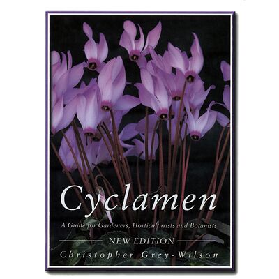 Cyclamen