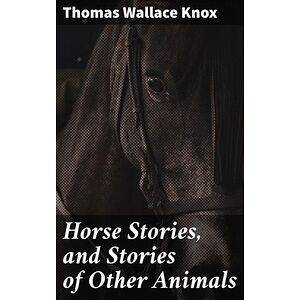 Horse Stories, and Stories...