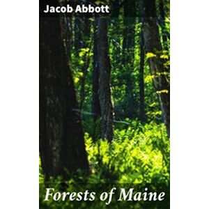 Forests of Maine