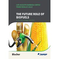 The future role of biofuels...
