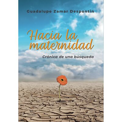 Hacia la maternidad....