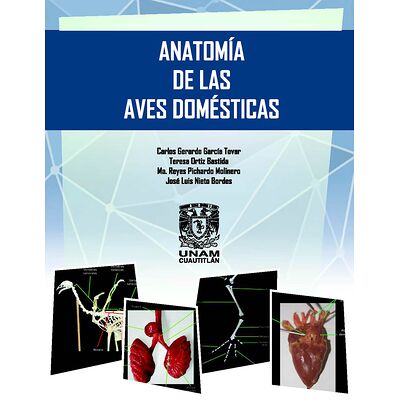 Anatomía de las aves...