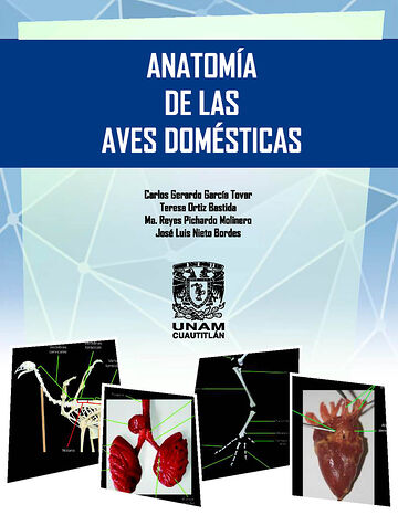 Anatomía de las aves...