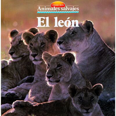 El león