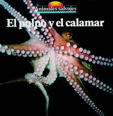 El pulpo y el calamar