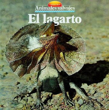 El lagarto