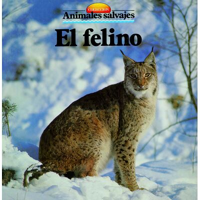 El felino