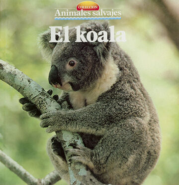 El koala