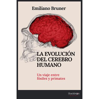 La evolución del cerebro...
