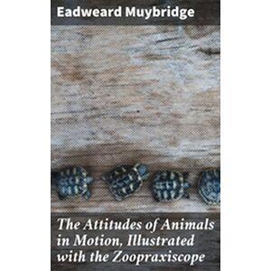 The Attitudes of Animals in...