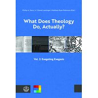 What Does Theology Do,...