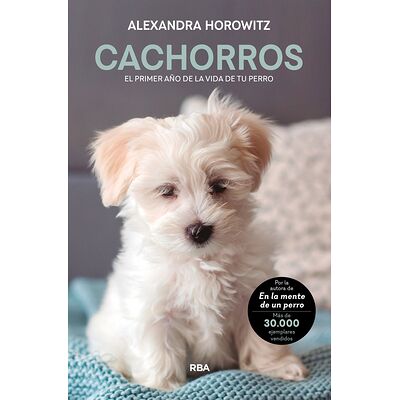 Cachorros