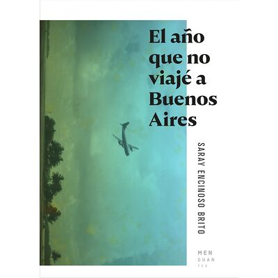 El año que no viajé a...