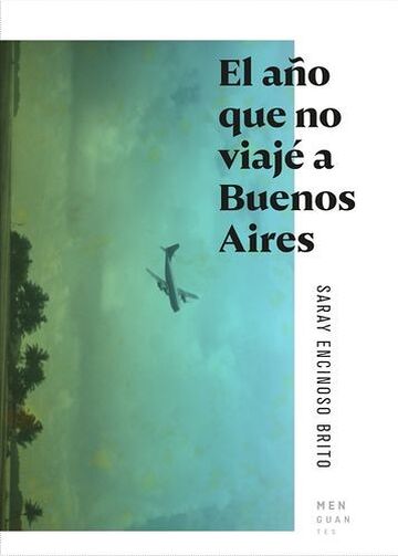 El año que no viajé a...
