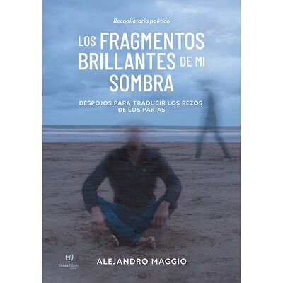 Los fragmentos brillantes...