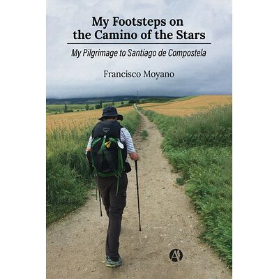 My Footsteps on the Camino...
