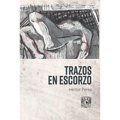Trazo en escorzo