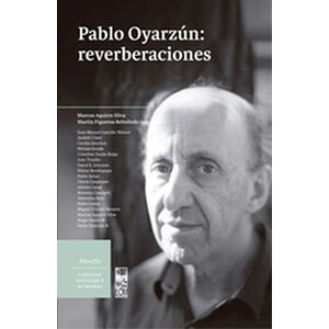 Pablo Oyarzun: reverberaciones