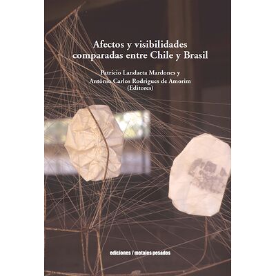 Afectos y visibilidades...