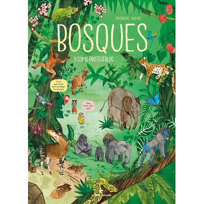 Bosques... y cómo protegerlos