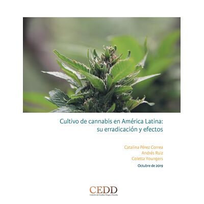 Cultivo de cannabis en...