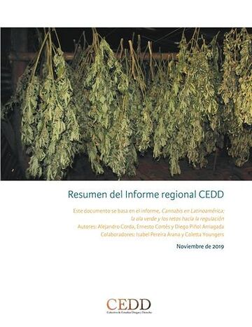 Resumen del Informe...