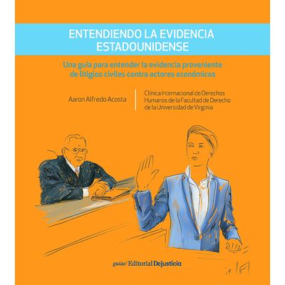 Entendiendo la Evidencia...