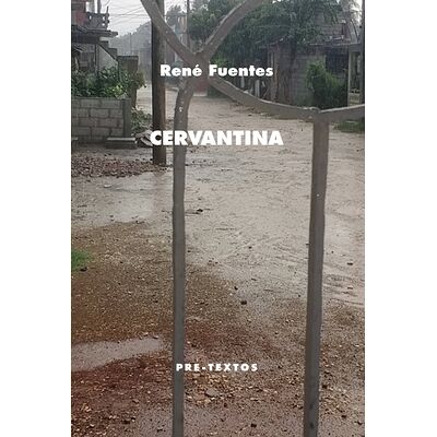 Cervantina