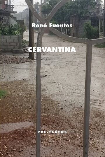 Cervantina