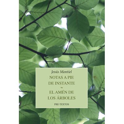 Notas a pie de instante. El...