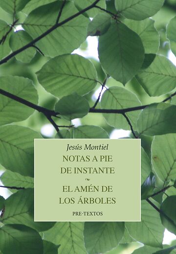 Notas a pie de instante. El...