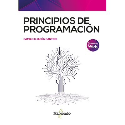 Principios de programación