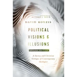Political Visions & Illusions