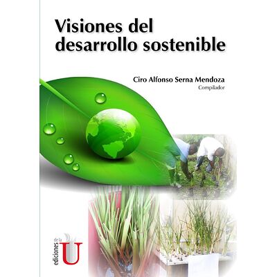 Visiones del desarrollo...