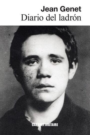 Diario del ladrón