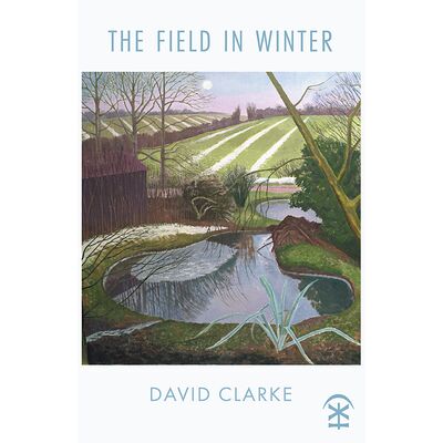 The Field in Winter