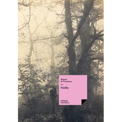 Niebla