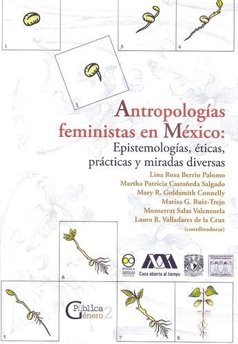 Antropologías feministas en...
