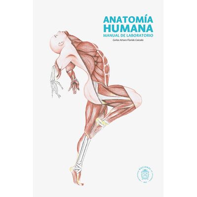 Anatomía humana. Manual de...