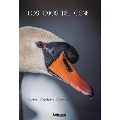 Los ojos del cisne
